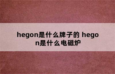 hegon是什么牌子的 hegon是什么电磁炉